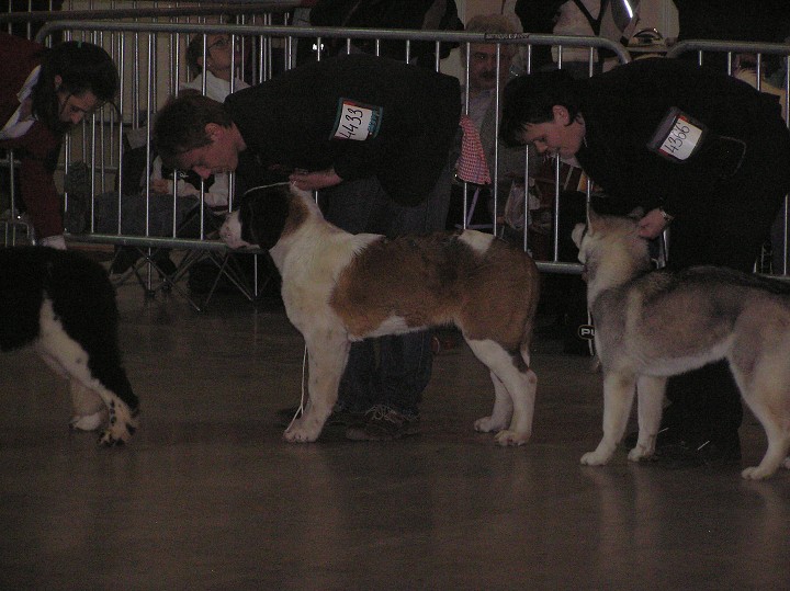 img00003.jpg