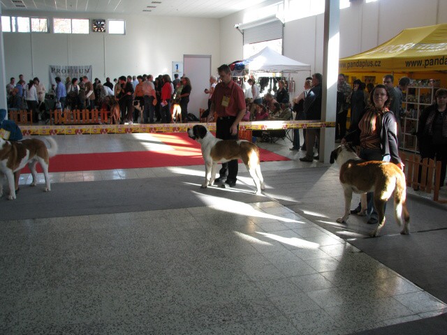 img00005.jpg