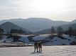 1/1600 s, F8.0, ISO 250