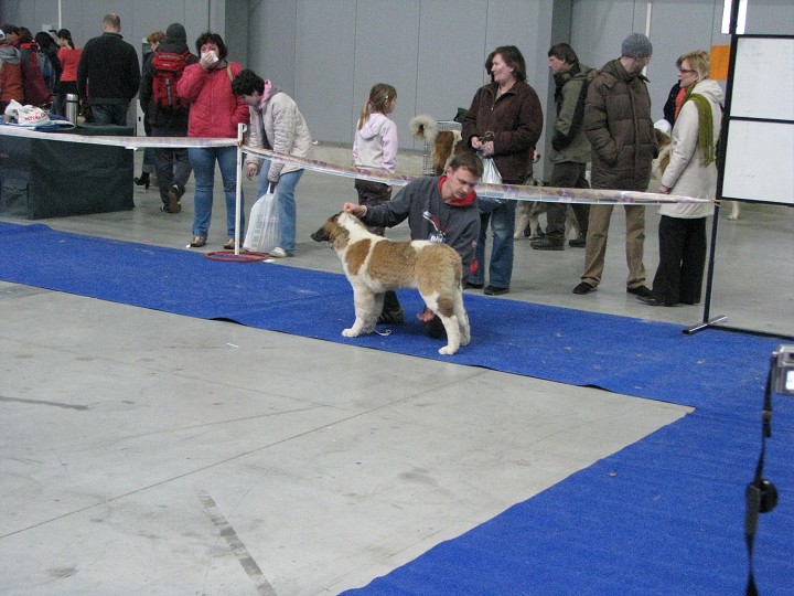 img00002.jpg