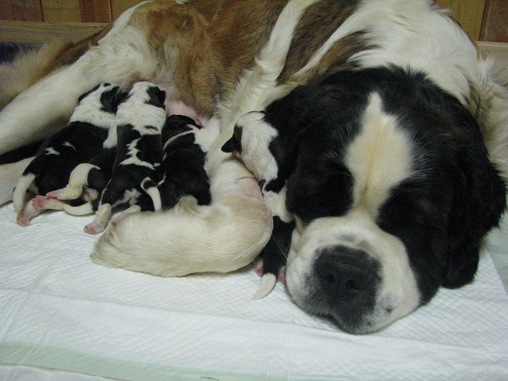 img00002.jpg