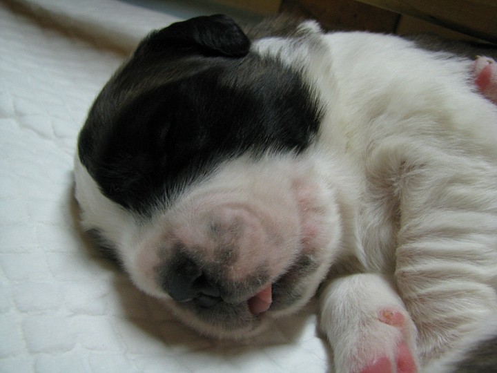 img00003.jpg