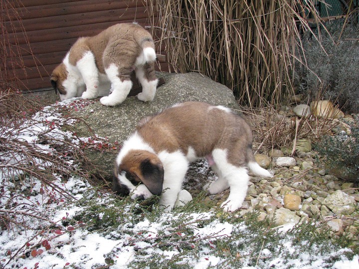 img00012.jpg