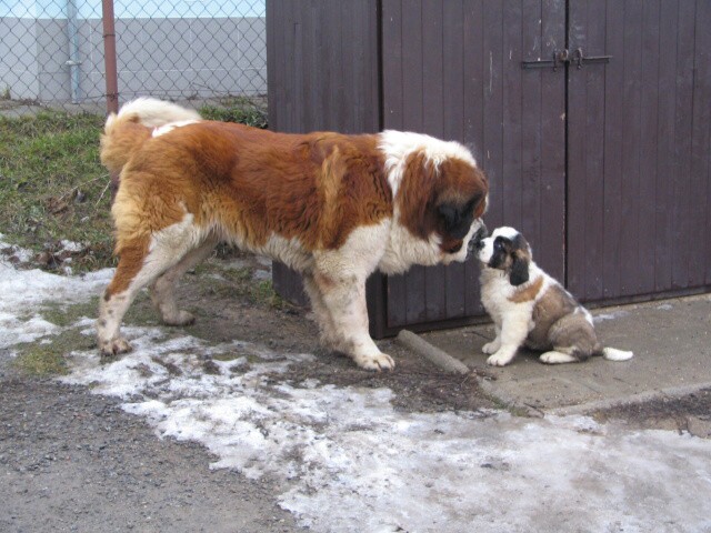 img00001.jpg