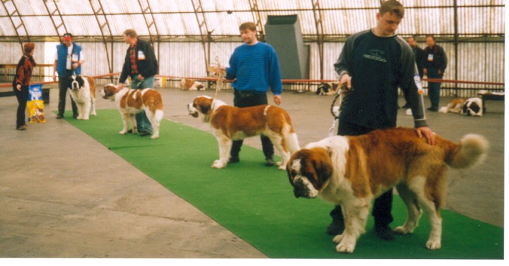 img00001.jpg