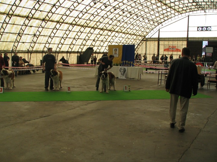 img00001.jpg