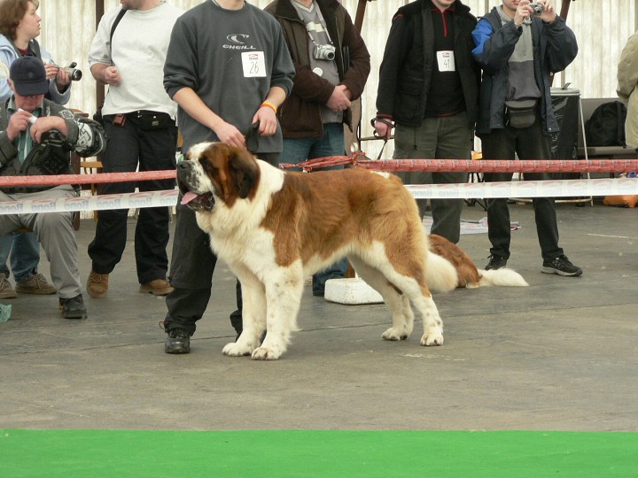 img00002.jpg