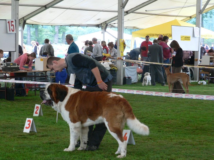 img00002.jpg