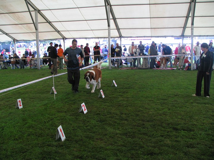 img00004.jpg