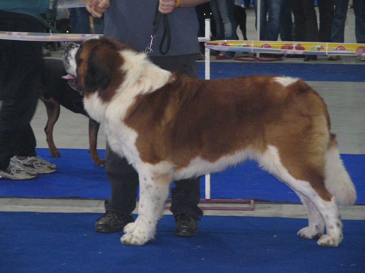 img00002.jpg