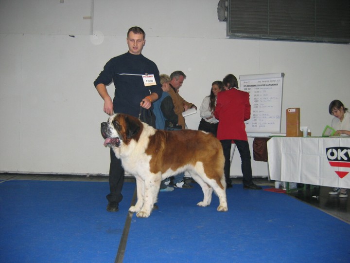 img00006.jpg