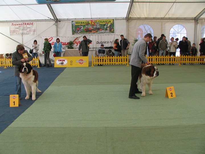 img00004.jpg
