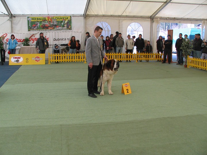 img00005.jpg
