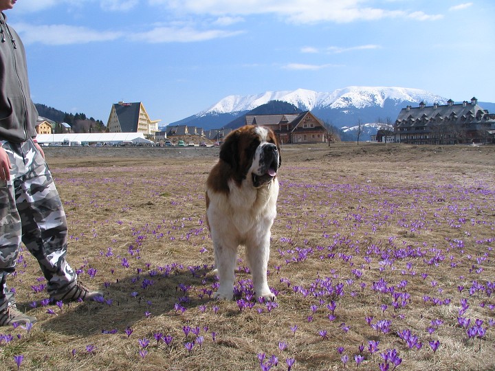 img00007.jpg