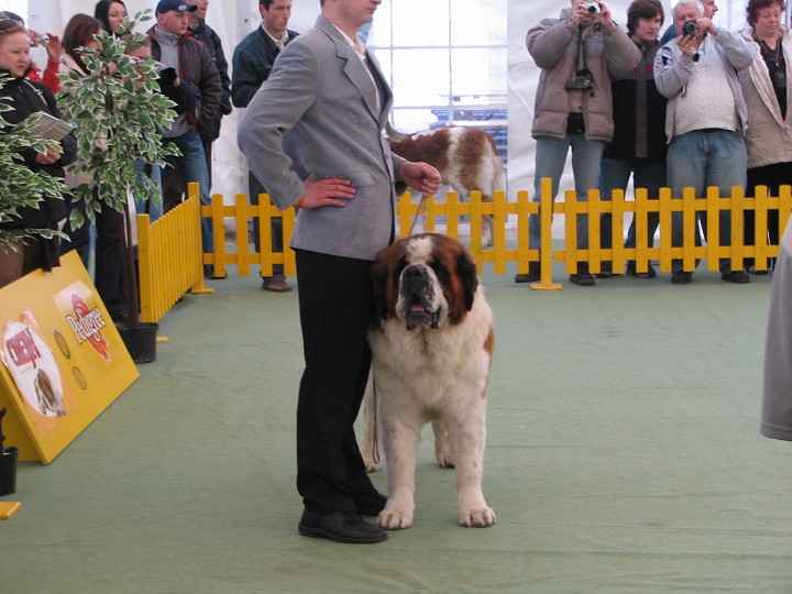img00001.jpg