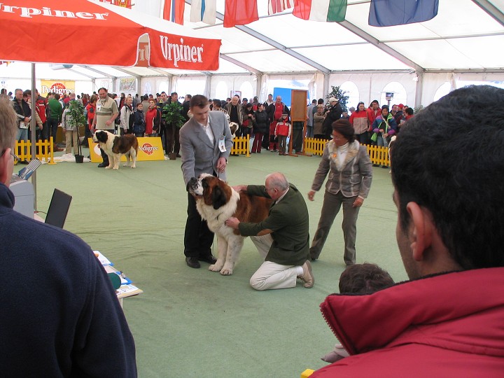 img00004.jpg