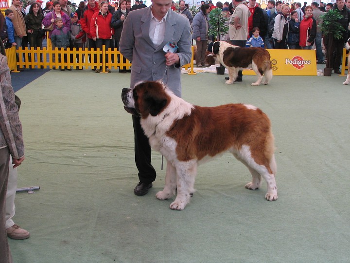 img00005.jpg