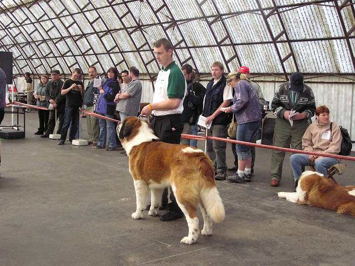 img00008.jpg