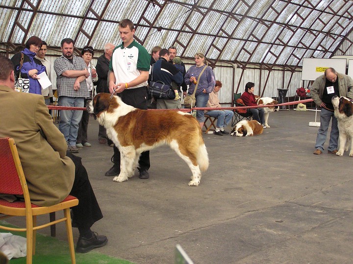 img00010.jpg