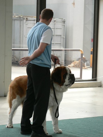 img00001.jpg
