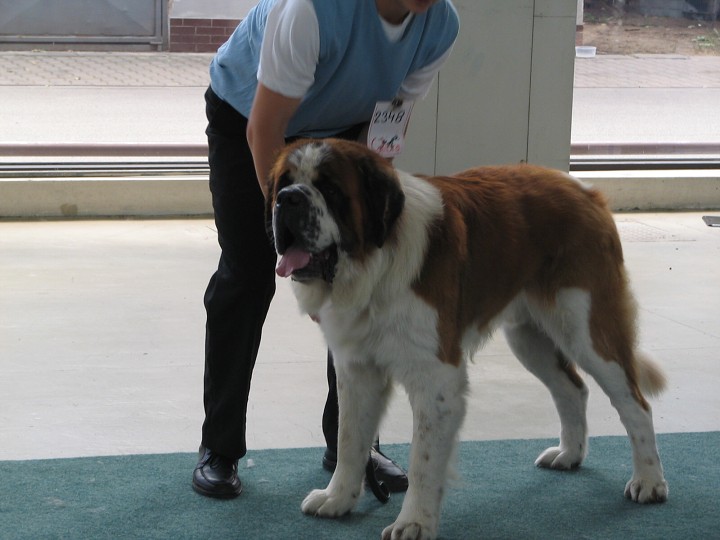 img00004.jpg