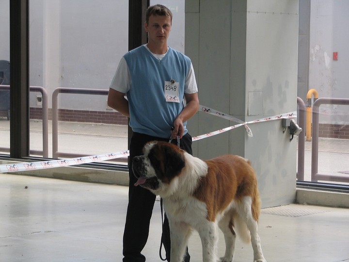 img00005.jpg