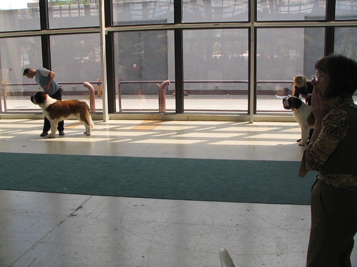 img00006.jpg