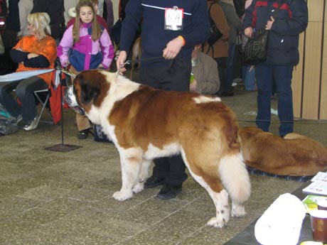 img00003.jpg