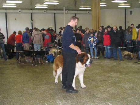 img00005.jpg