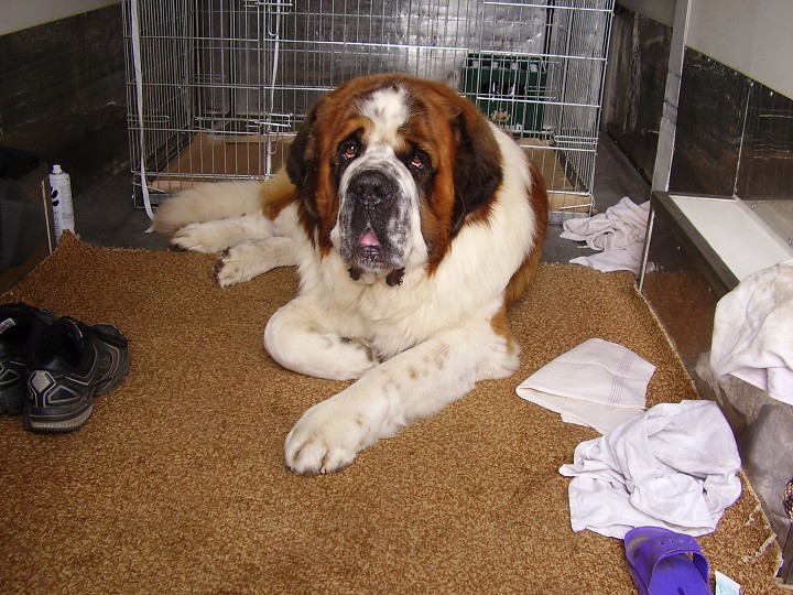 img00001.jpg