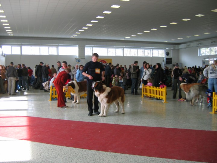 img00003.jpg