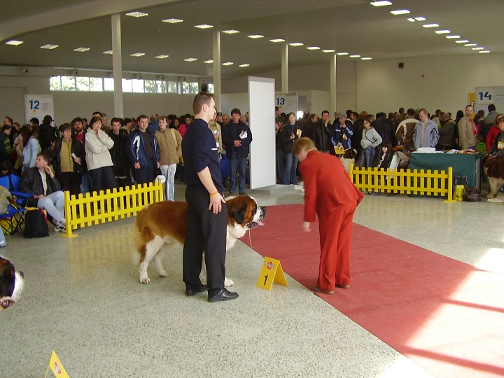 img00004.jpg