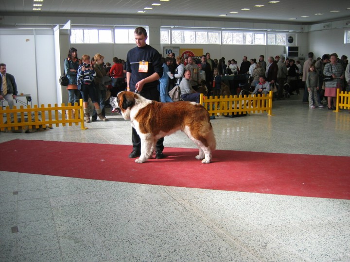 img00005.jpg