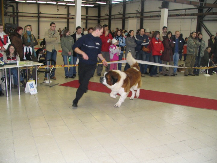 img00001.jpg