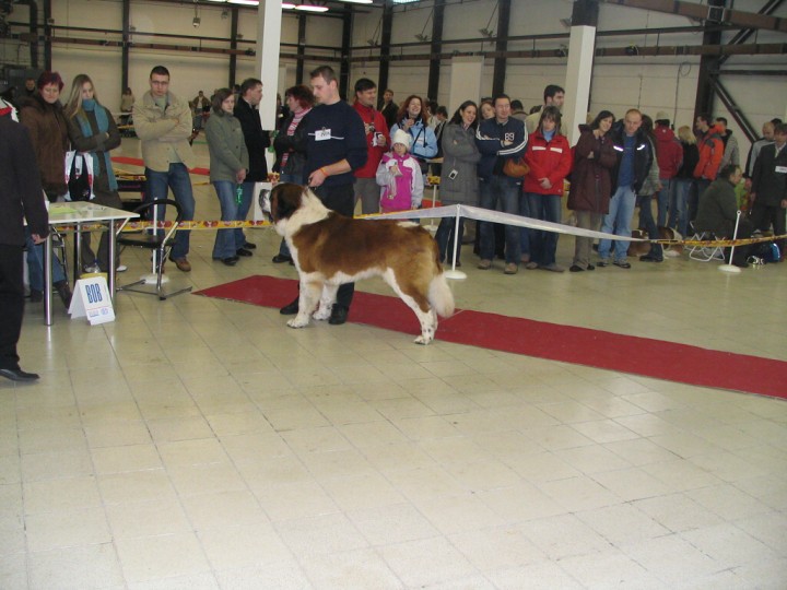 img00003.jpg