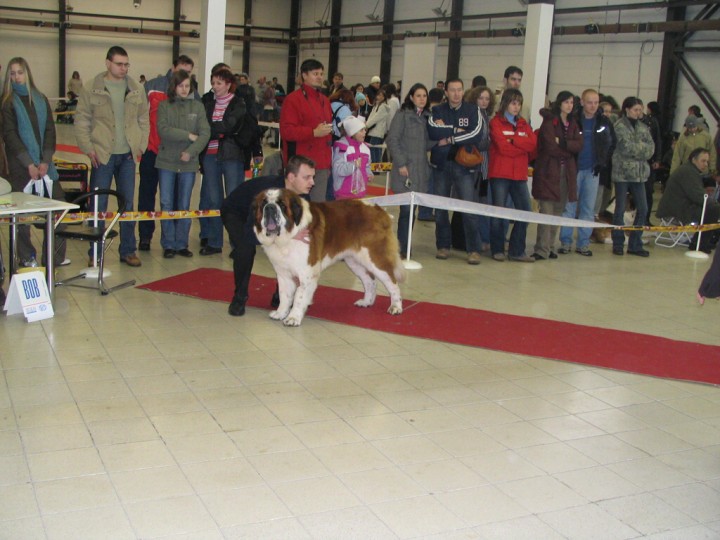 img00005.jpg