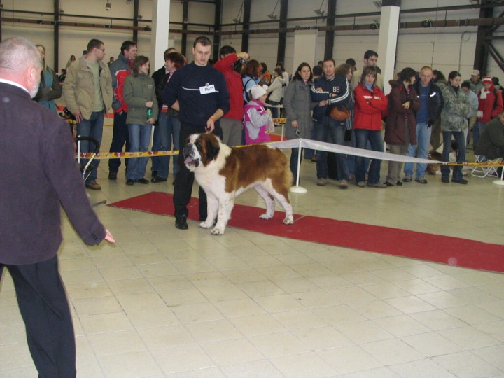 img00006.jpg