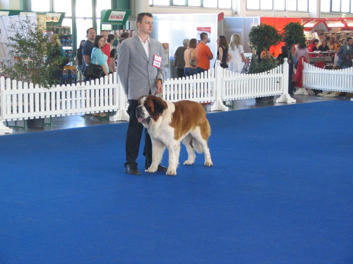 img00001.jpg