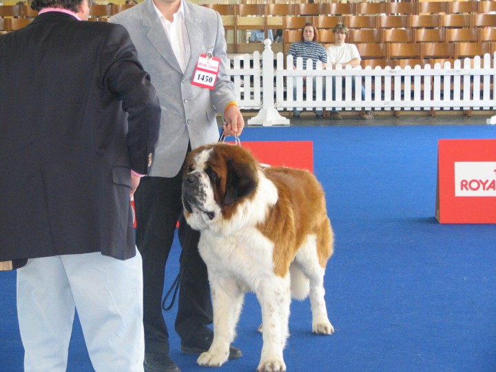 img00003.jpg