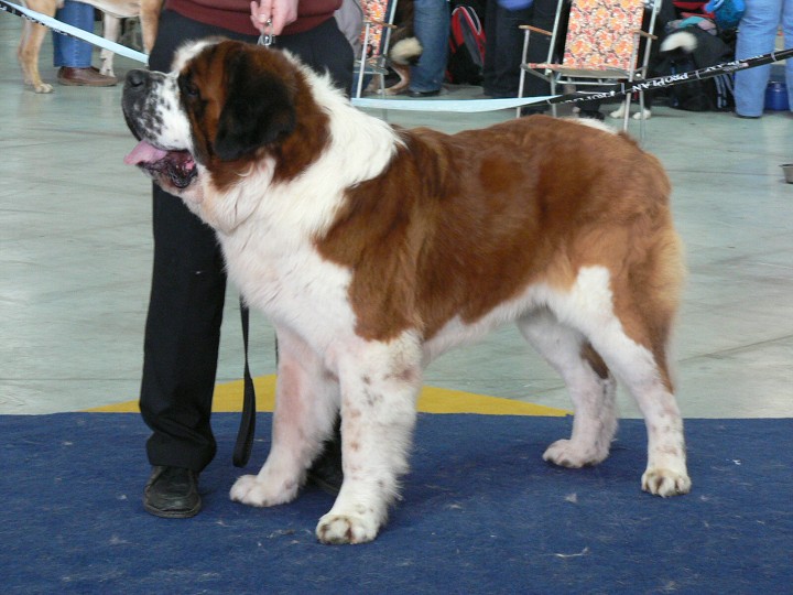 img00001.jpg